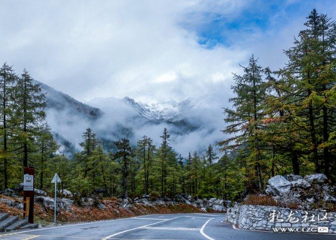 微软发布新闻稿:预告网页版word应用即将更新