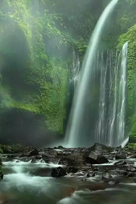 逃离倒影森林