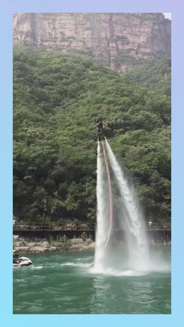 有趣的动物拼图