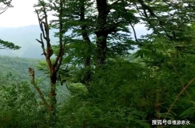 他被敌人关押,被害前一天,用两颗钉子逃脱