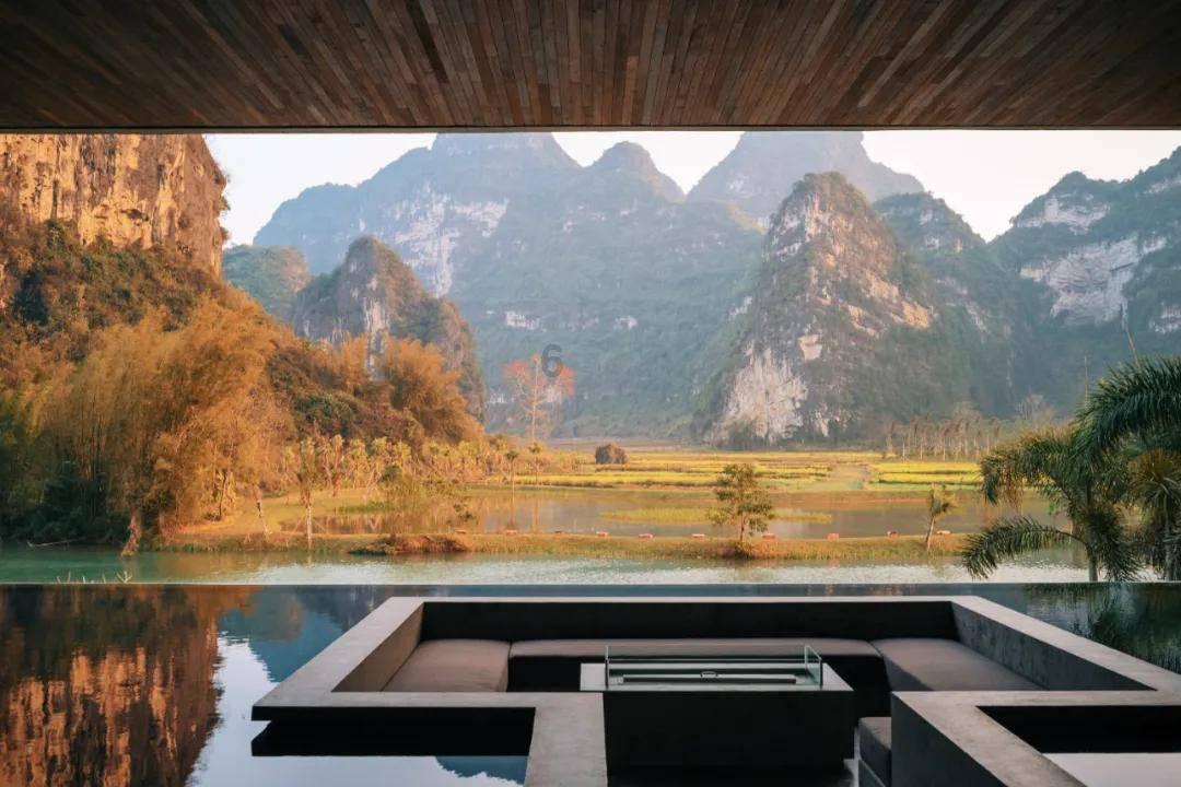 这5种蔬菜，不焯水等于在“服毒”，建议：吃之前要记得先焯水