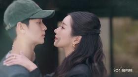 救援受困的长颈鹿