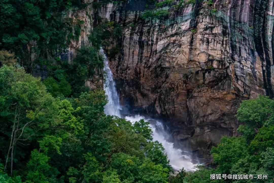 为美丽乡村“代言”,重庆有一群青少年推介官!