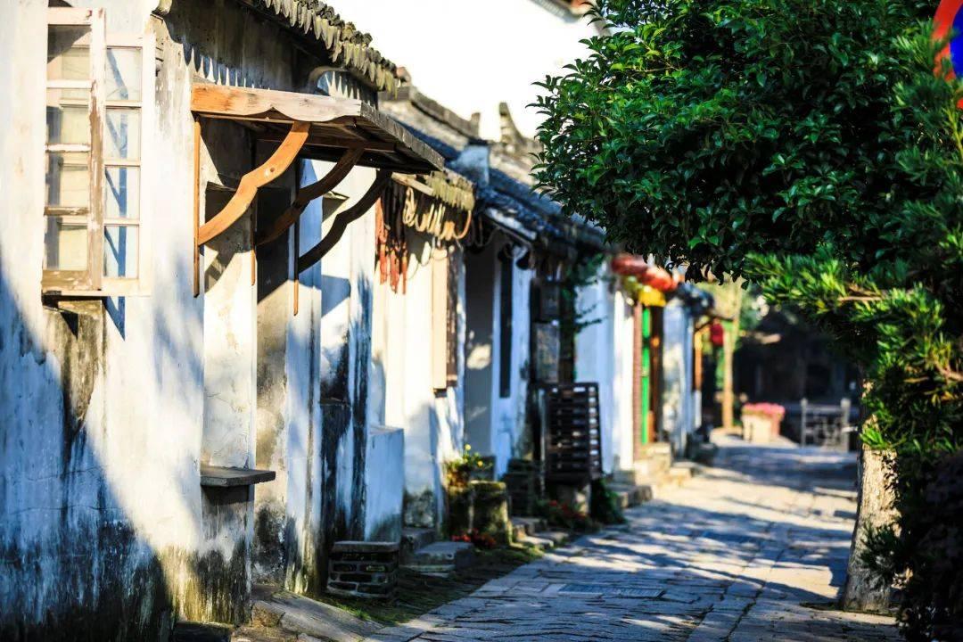 游戏画面