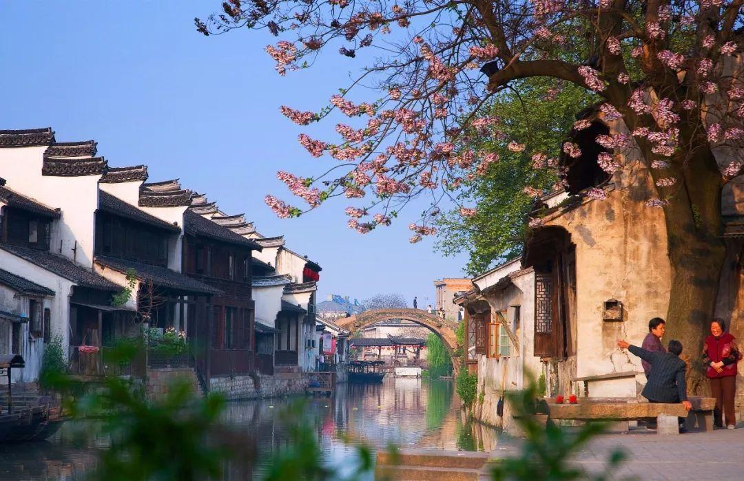 【路政管理】齐抓共管,治理路面污染不留余地